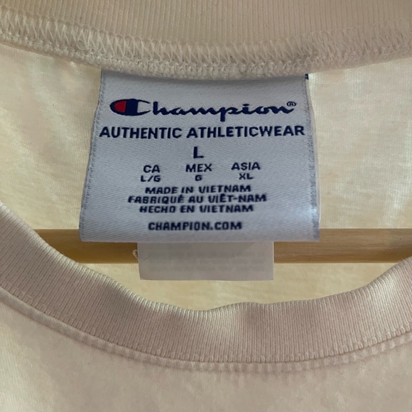 Champion-Brown Gradient T-shirt -Size: Mens Large - Picture 3 of 5